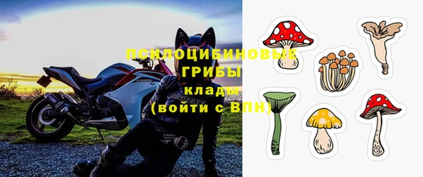прущая мука Белокуриха