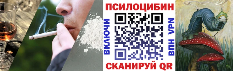 Купить где  Железногорск  Галлюциногенные грибы MAGIC MUSHROOMS 